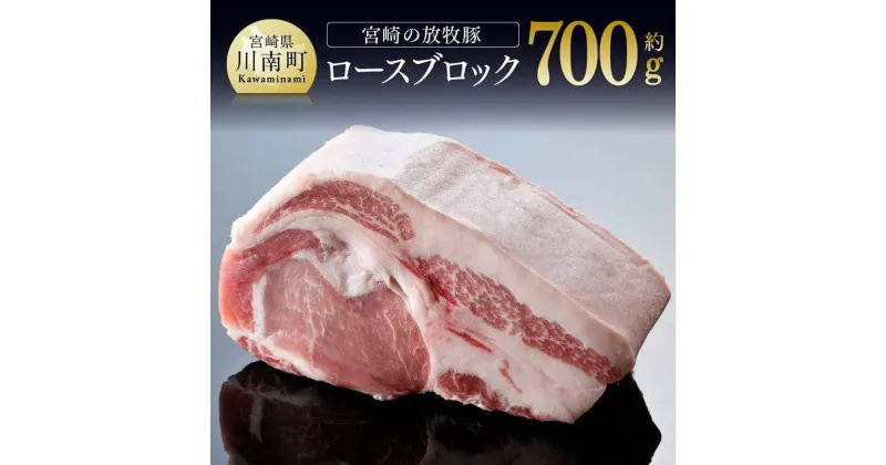 【ふるさと納税】 豚肉 宮崎の山奥で育てられた宮崎の放牧豚 ロースブロック 九州産 宮崎県産 お取り寄せ 肉 送料無料 G8101