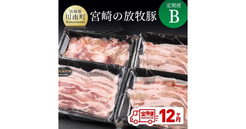 【ふるさと納税】 豚肉 肉 定期便 お楽しみ セット 宮崎の放牧豚 定期便B　（12ヶ月）九州産 宮崎県産 お取り寄せ 送料無料 G8103