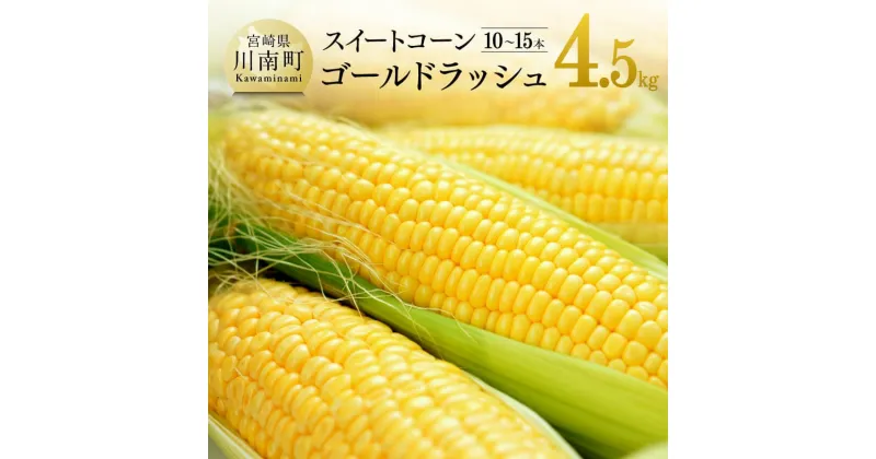 【ふるさと納税】【令和7年発送】宮崎県産とうもろこし　大山さんちのスイートコーン「ゴールドラッシュ」4.5kg – 先行予約 数量限定 期間限定 季節限定 送料無料 とうもろこし 2025年発送 九州産 宮崎県産 川南町産 D07104