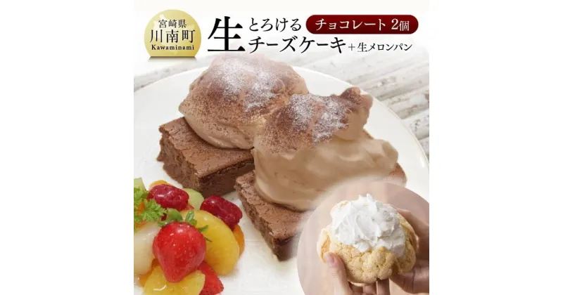 【ふるさと納税】 人気 チーズケーキ とろける生チーズケーキ (チョコ×2個) 新食感 ケーキ スイーツ 生クリーム 生メロンパン ナチュラルチーズ使用 送料無料 G2704