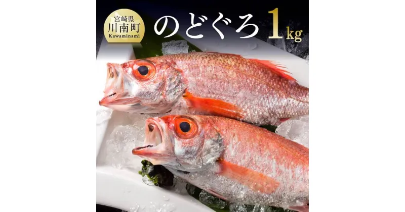 【ふるさと納税】 川谷水産厳選！ のどぐろ ( アカムツ )約1kg 送料無料 鮮魚 のどぐろ あかむつ G4401-1