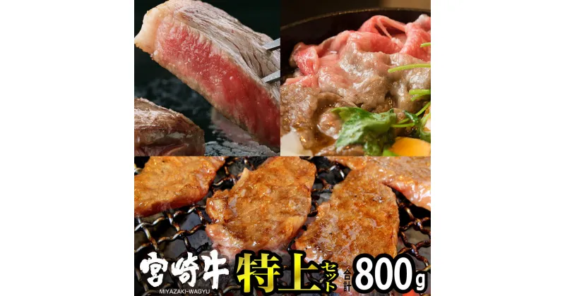 【ふるさと納税】 肉 牛 宮崎牛特上セット800g 送料無料 ステーキ 霜降り スライス 焼肉 ロース バラG7420