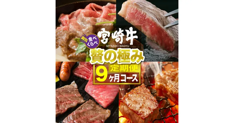 【ふるさと納税】 肉 牛肉 宮崎牛食べ比べ贅の極み9ヶ月コース 送料無料 リブロース サーロイン スライス ステーキ サイコロ 焼肉 イチボ バラ モモ ヒレ 定期便 9回G7423