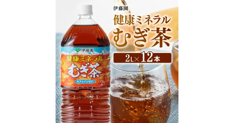 【ふるさと納税】 伊藤園 健康ミネラル むぎ茶 カフェインゼロ 2L×6本×2ケース 送料無料【ソフトドリンク 飲料 飲み物 お茶 麦茶 備蓄 ペットボトル セット カロリーゼロ 2L D07359】