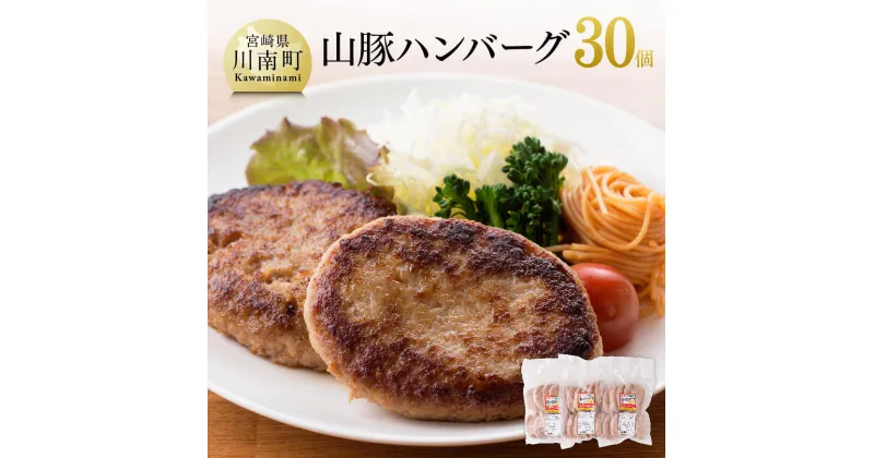 【ふるさと納税】《大人気》 山豚ハンバーグ 100g×30個! 送料無料 | 肉 豚肉 加工品 惣菜 ハンバーグ 宮崎県産 ぶた肉 簡単調理 G7504