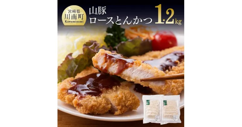 【ふるさと納税】《大人気》 山豚 ロースとんかつ 120g×5枚×2袋 計10枚(1.2kg) 送料無料【肉 豚肉 ぶた肉 宮崎県産】G7505