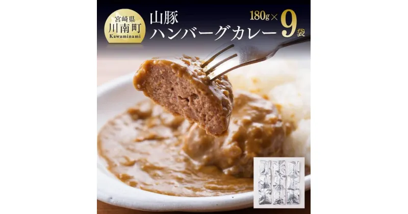 【ふるさと納税】《大人気》 山豚ハンバーグカレー 180g×9個 送料無料【肉 豚肉 自家製 ハンバーグ カレー 宮崎県産(川南町産)ぶた肉 簡単料理 時短 おかず】 G7506