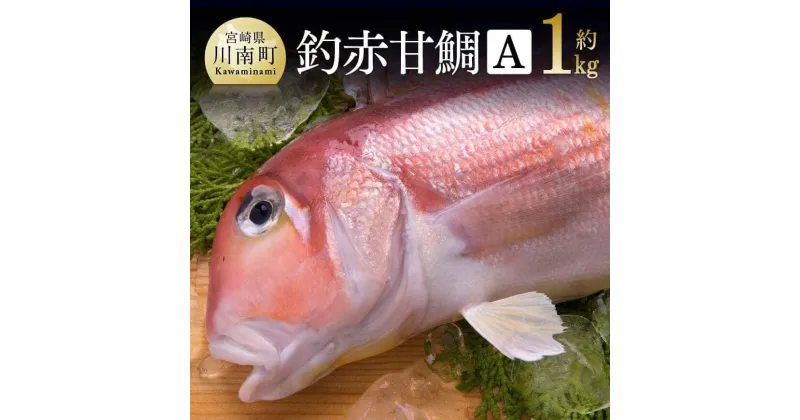 【ふるさと納税】釣赤甘鯛 A 宮崎県産 日向灘 アマダイ 送料無料 G4405