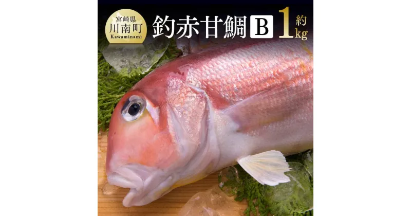 【ふるさと納税】 釣赤甘鯛 B 【 宮崎県産 日向灘 アマダイ 鮮魚 さかな 九州 宮崎 川南町 新鮮 魚介 海の幸 魚介類 たい 送料無料 G4406 】