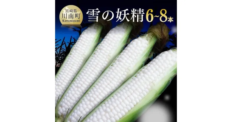 【ふるさと納税】【令和7年発送】宮崎県産とうもろこし　大山さんちのホワイトコーン「雪の妖精」6〜8本 – 大山農園 スイートコーン ホワイトコーン 6〜8本 先行予約 数量限定 期間限定 とうもろこし 九州産 宮崎県産 川南町産 送料無料 D07105