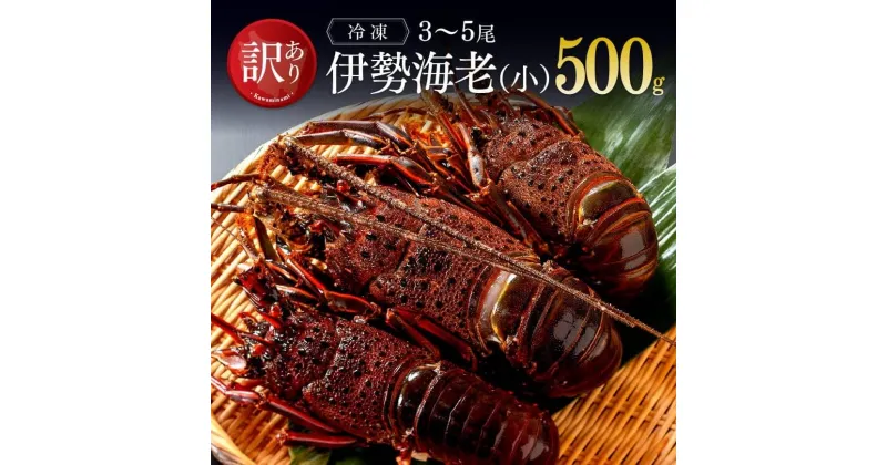 【ふるさと納税】 【訳あり】（小）冷凍伊勢海老　(3〜5尾)計500g – 魚介 伊勢海老 イセエビ 訳あり 宮崎県 川南町 送料無料 D01705