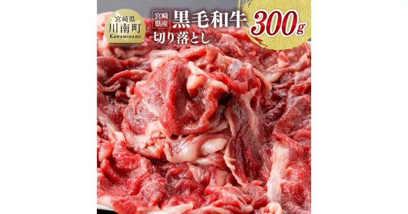 【ふるさと納税】 宮崎県産 黒毛和牛 切り落とし 300g 肉 牛肉 切り落とし 150g×2パック 牛丼 炒め物 九州産 宮崎産 川南町産 お取り寄せ 送料無料 川南町 G0510