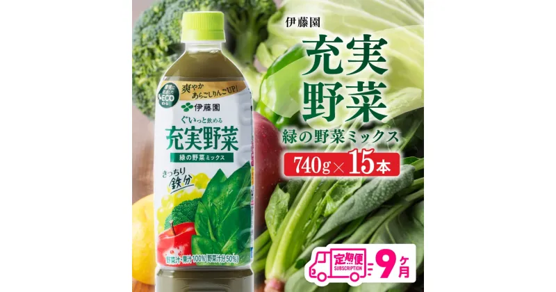 【ふるさと納税】 伊藤園 充実野菜 緑の野菜ミックス ペットボトル 740g×15本 9ヶ月定期便 果実混合飲料 送料無料 備蓄 おうち時間 宮崎県 川南町 E7367t9