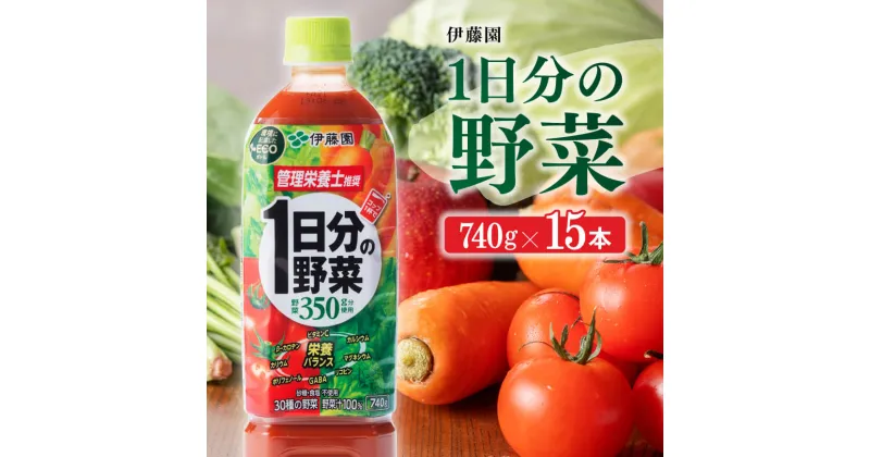 【ふるさと納税】伊藤園 1日分の野菜 740g×15本PET 送料無料 ペットボトル 野菜汁100% 備蓄【野菜飲料・野菜ジュース・ミックスジュース・飲料類・セット・ジュース ソフトドリンク ケース E7316】