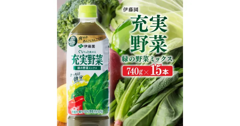 【ふるさと納税】 伊藤園 充実野菜 緑の野菜ミックス740g×15本PET 送料無料 ペットボトル ほうれん草 鉄分 備蓄【野菜飲料・野菜ジュース・ミックスジュース・飲料類・果汁飲料・セット・ジュース ソフトドリンク ケース E7318】