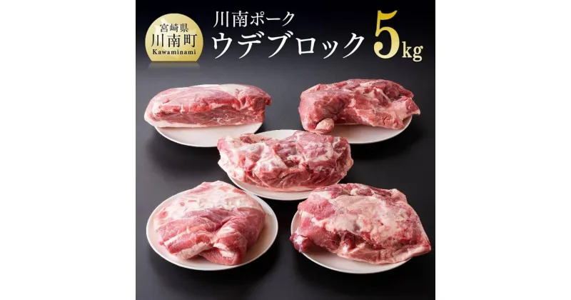 【ふるさと納税】 川南ポーク ウデブロック5Kg 宮崎県産 九州産 川南町産 豚肉 ぶた肉 おうちごはん 送料無料 D05011