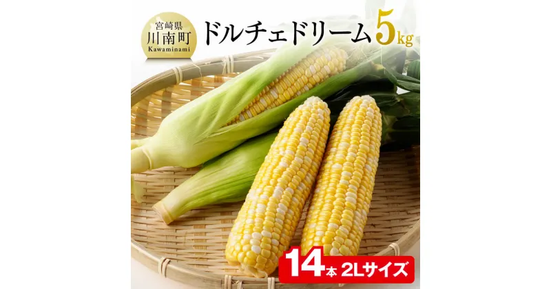 【ふるさと納税】【令和7年発送】朝どれ！守部さんちのドルチェドリーム (2L)5kg – 先行予約 数量限定 期間限定 スイートコーン とうもろこし 九州産 宮崎県産 川南町産 送料無料 D06404