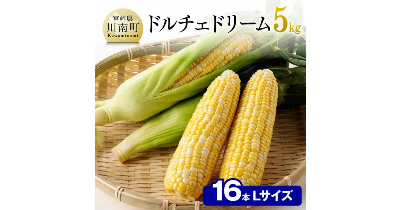 【ふるさと納税】【令和7年発送】朝どれ！守部さんちのドルチェドリーム (L)5kg) – 先行予約 数量限定 期間限定 スイートコーン とうもろこし 九州産 宮崎県産 川南町産 送料無料 D06403