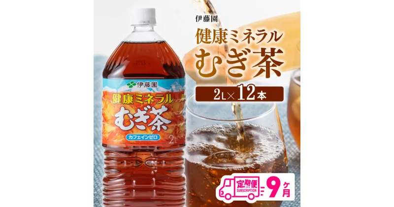 【ふるさと納税】 伊藤園 健康ミネラル むぎ茶 カフェインゼロ 2L×6本×2ケース 定期便 9ヶ月 送料無料【麦茶 備蓄 ペットボトル セット カロリーゼロ 2L ソフトドリンク 飲料 飲み物 全9回】D07359t9