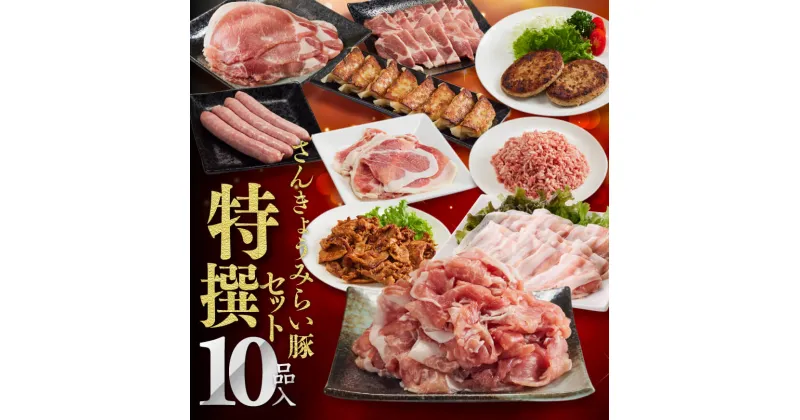 【ふるさと納税】 さんきょうみらい豚『特撰セット』10種 バラしゃぶ/切り落とし/味噌漬け/生ハム/焼餃子/ハンバーグ/生姜焼き用ロース/焼肉用カタロース/豚ミンチ 肉 豚肉 宮崎県産 九州産 おうち時間 おうちごはん 豚肉セット 詰め合わせ G0111