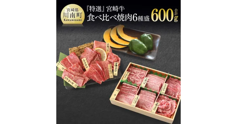 【ふるさと納税】【特選】 宮崎牛 6種盛 焼肉 食べ比べ セット – 肉 牛肉 国産 宮崎県産 黒毛和牛 和牛 A4ランク以上 送料無料 宮崎県 川南町 G7425