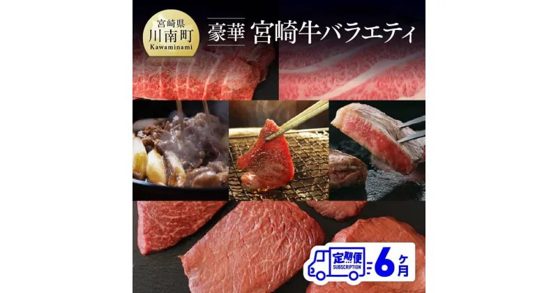 【ふるさと納税】 【定期便】 豪華！ 宮崎牛 バラエティ6ヶ月コース | 肉 牛肉 ステーキ 焼肉 スライス 月替わり 全6回 九州産 宮崎県産 送料無料 G7426