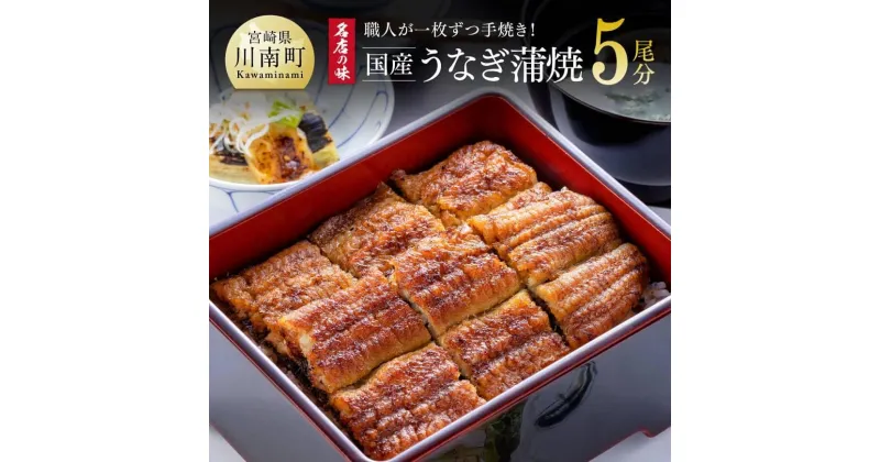 【ふるさと納税】 名店の味 国産鰻 宮崎県産うなぎ蒲焼 5尾(ウナギ650g以上) ひむか山道うなぎ《うなぎ・蒲焼きのたれ・粉山椒 セット》国産 うなぎ 鰻 手焼き 宮崎県産 川南町産 九州産 ふるさと納税 ウナギ おかず 惣菜 冷凍 送料無料 G8405