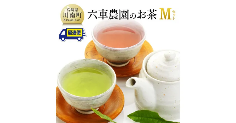 【ふるさと納税】 「六車農園」お茶Mセット 九州産 宮崎県産 川南町産 茶 お茶 日本茶 国産茶 彩翠深蒸煎茶 かぶせ茶 茶葉 ティーバッグ ボトル お湯出し 水出し 飲みやすい おうち時間 G8702