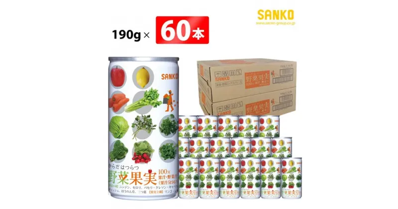 【ふるさと納税】 SANKO からだはつらつ 野菜果実(缶)　190g×60本 飲料類 ソフトドリンク ミックスジュース 8種の野菜 果実 長期保存 宮崎県 川南町 送料無料 G8811