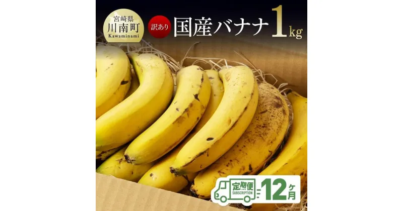 【ふるさと納税】 【訳あり】国産バナナ1kg 【12ヶ月定期便】 【 国産 バナナ 無農薬 フルーツ 果物 デザート 朝食 スムージー 川南町 全12回】ご自宅用や皮ごとスムージーにもオススメ！ F5805 送料無料