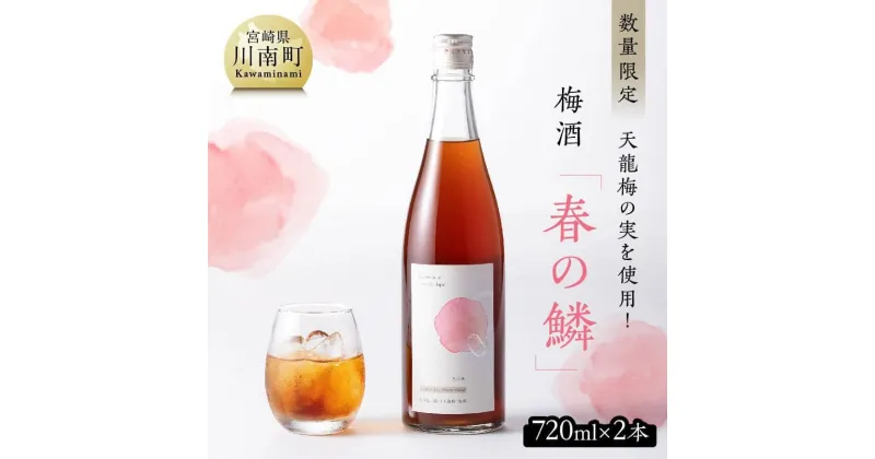 【ふるさと納税】【数量限定】 天龍梅の実を使用！オリジナル梅酒「春の鱗」720ml×2本【 酒 アルコール お酒 梅酒 九州産 送料無料 F5603