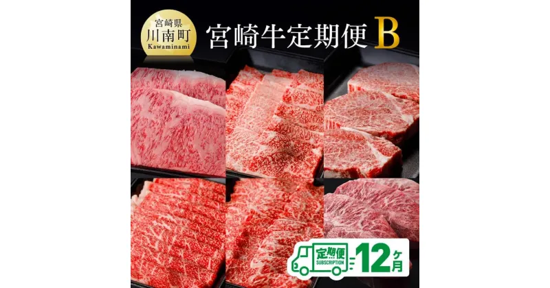 【ふるさと納税】【定期便】宮崎牛 12ヶ月定期便B(ロースステーキ/肩ロース焼肉/ヒレステーキ/ウデスライス/モモ焼肉/ミスジステーキ) 肉 牛肉 国産 宮崎県産 黒毛和牛 和牛 BBQ すき焼き ミヤチク 送料無料 D0674t12