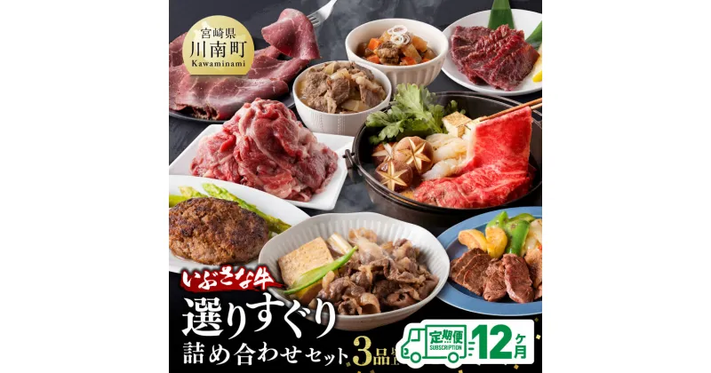 【ふるさと納税】【12ヶ月定期便】いぶさな牛 選りすぐり 詰め合わせセット 【肉 牛肉 精肉 いぶさな牛 国産 九州産 宮崎県産 全12回 F0501t12】