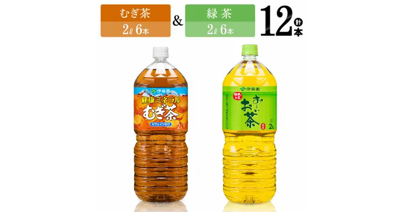 【ふるさと納税】 伊藤園　むぎ茶（2L）＆緑茶（2L）(PET）12本 【伊藤園 飲料類 お茶 麦茶 緑茶 PET セット 詰め合わせ 飲みもの】D07368