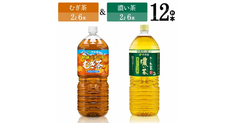 【ふるさと納税】 伊藤園　むぎ茶（2L）＆濃い茶（2L）(PET）12本 【伊藤園 飲料類 お茶 麦茶 濃い茶 緑茶 PET セット 詰め合わせ 飲みもの】D07369