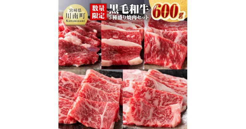 【ふるさと納税】 《 発送時期が選べる 》【 数量限定 】 黒毛和牛 5種盛り 焼肉セット 600g – 肉 牛肉 国産 国産牛 宮崎県産 黒毛和牛 ミヤチク BBQ 焼肉 焼き肉 バーベキュー 送料無料 D0638