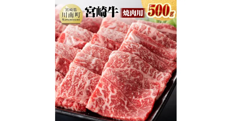 【ふるさと納税】宮崎牛 焼肉用 500g – 肉 牛肉 国産 宮崎県産 黒毛和牛 ミヤチク BBQ バーベキュー 送料無料 D0640