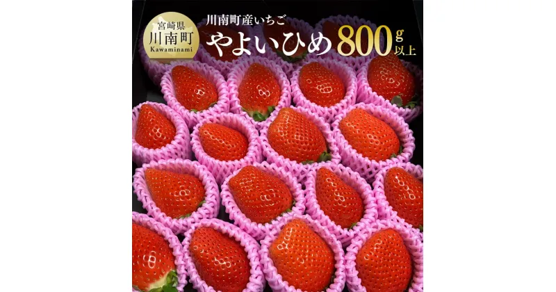 【ふるさと納税】川南町産いちご「やよいひめ」計800g – 先行予約 期間限定 果物 イチゴ 苺 フルーツ D09801