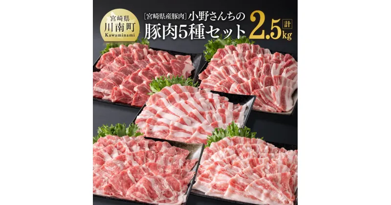 【ふるさと納税】宮崎県産豚肉 小野さんちの”豚肉5種セット” 2.5kg【 豚肉 豚 肉 宮崎県産 しゃぶしゃぶ 焼肉 BBQ】 送料無料 E10506