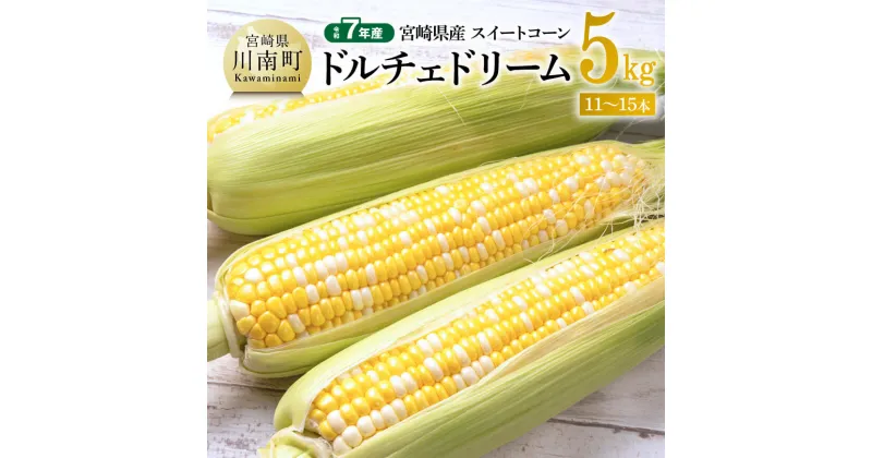 【ふるさと納税】【令和7年発送】宮崎県産とうもろこし　スイートコーン「ドルチェドリーム」5kg – スイートコーン とうもろこし トウモロコシ コーン ドルチェドリーム とうきび 新鮮 野菜 農家直送 期間限定 先行予約 先行受付 九州産 宮崎県産 川南町 送料無料 D10801