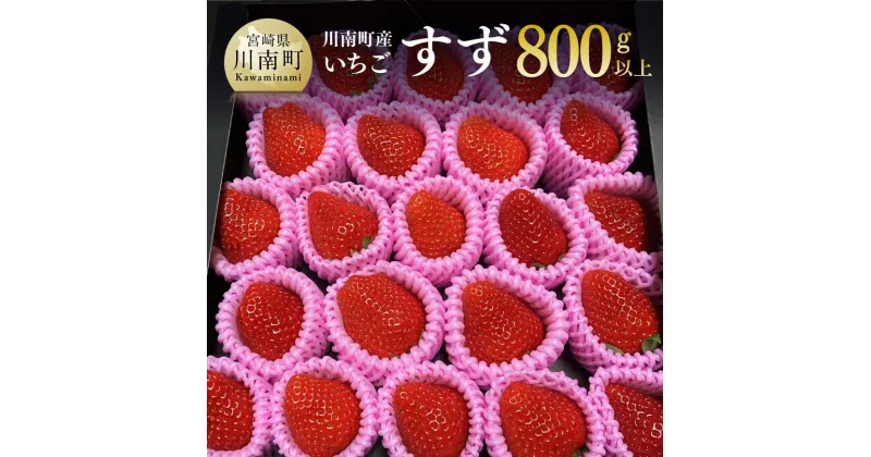 【ふるさと納税】川南町産いちご「すず」計800g – 先行予約 期間限定 果物 イチゴ 苺 フルーツ D09802