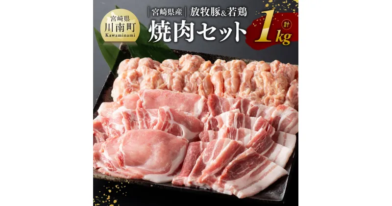 【ふるさと納税】 宮崎県産「放牧豚＆ 若鶏」焼肉セット 1kg – 豚肉 豚 肉 鶏肉 鶏 肉 国産 宮崎県産 ロース バラ 小肉 焼肉 BBQ バーベキュー グランピング キャンプ 送料無料 E8103