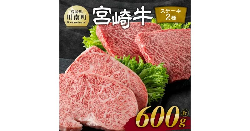 【ふるさと納税】 宮崎牛ステーキ 2種 600g – 肉 牛肉 黒毛和牛 宮崎県産牛 九州産牛 国産牛 宮崎県産 九州産 国産 ロース モモ ステーキ E11118