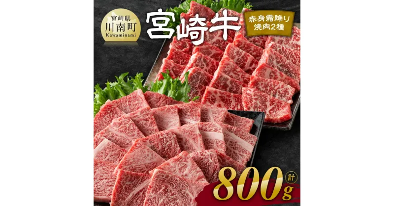 【ふるさと納税】 宮崎牛赤身霜降り焼肉2種 800g – 肉 牛肉 黒毛和牛 宮崎県産牛 九州産牛 国産牛 宮崎県産 九州産 国産 赤身 霜降り 焼肉 ウデ モモ 肩ロース 送料無料 E11124