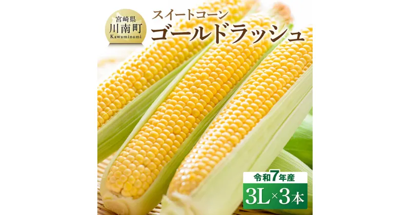 【ふるさと納税】【令和7年発送】宮崎県産とうもろこし　スイートコーン「ゴールドラッシュ」3L×3本 – 宮崎県産 川南町産 九州産 新鮮 農家直送 産地直送 スィート—コーン とうもろこし 送料無料 D09105