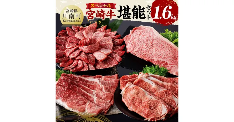 【ふるさと納税】宮崎牛 堪能セット 【スペシャル】 合計1.6kg – 肉 牛肉 国産 宮崎県産 黒毛和牛 和牛 モモスライス カルビ D11414