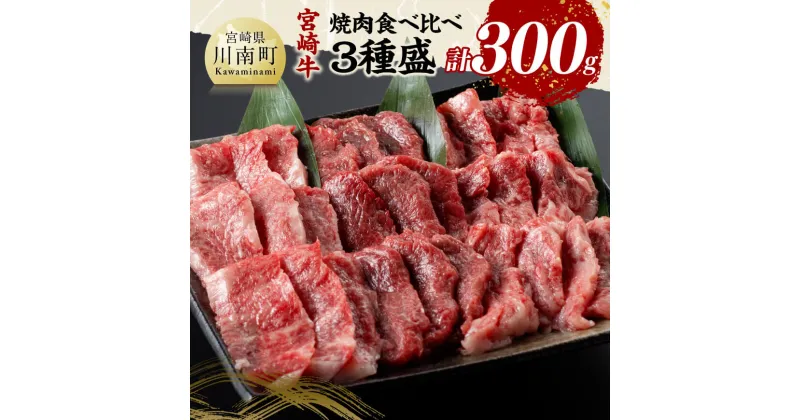 【ふるさと納税】宮崎牛 焼肉 食べ比べ 3種盛 300g – 肉 牛肉 国産 宮崎県産 黒毛和牛 和牛 焼肉 バーベキュー D11416