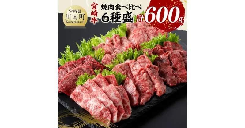 【ふるさと納税】宮崎牛 焼肉 食べ比べ 6種盛 600g – 肉 牛肉 国産 宮崎県産 黒毛和牛 和牛 焼肉 バーベキュー D11417