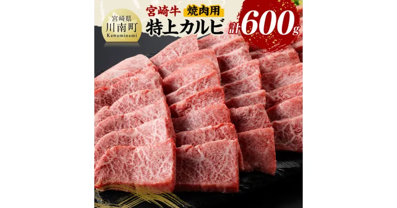 【ふるさと納税】宮崎牛 特上カルビ 焼肉用 （三角バラ） 合計600g – 肉 牛肉 国産 宮崎県産 黒毛和牛 和牛 特上 カルビ D11420