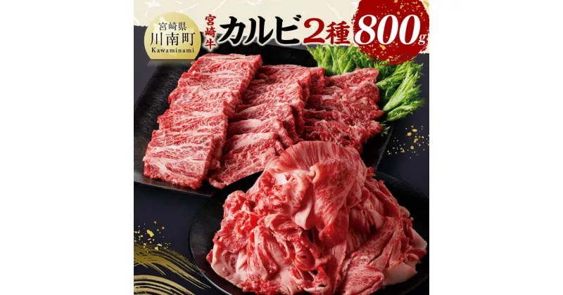 【ふるさと納税】宮崎牛カルビ焼肉・切り落としセット合計800g – 肉 牛肉 国産 黒毛和牛 宮崎牛 焼肉 宮崎県 川南町 D11405